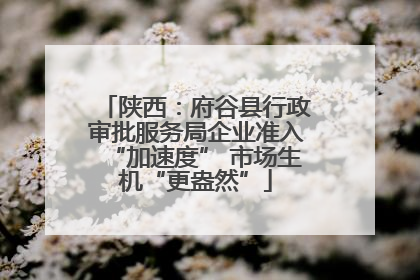 陕西：府谷县行政审批服务局企业准入“加速度” 市场生机“更盎然”
