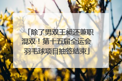 除了男双王昶还兼职混双！第十五届全运会羽毛球项目抽签结束
