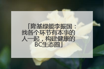 隆基绿能李振国：找各个环节有本事的人一起，构建健康的BC生态圈