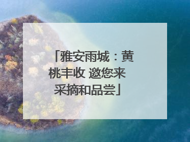 雅安雨城：黄桃丰收 邀您来采摘和品尝
