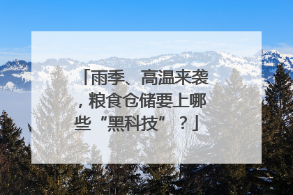 雨季、高温来袭，粮食仓储要上哪些“黑科技”？