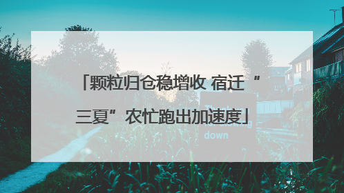 颗粒归仓稳增收 宿迁“三夏”农忙跑出加速度