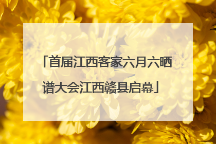 首届江西客家六月六晒谱大会江西赣县启幕