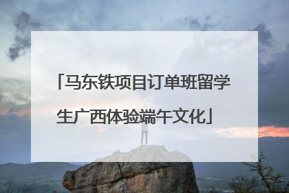马东铁项目订单班留学生广西体验端午文化