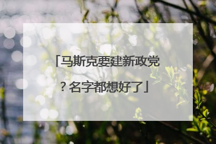 马斯克要建新政党？名字都想好了