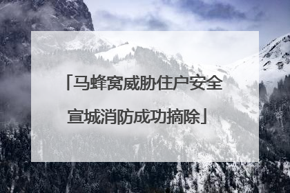 马蜂窝威胁住户安全 宣城消防成功摘除