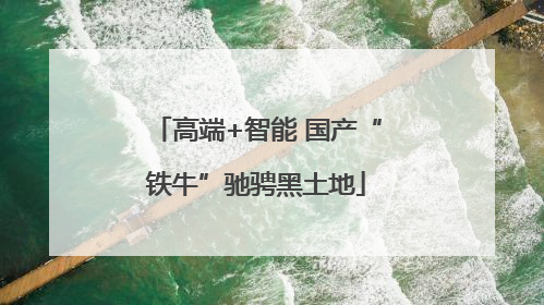 高端+智能 国产“铁牛”驰骋黑土地