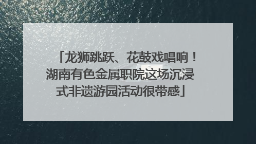 龙狮跳跃、花鼓戏唱响！湖南有色金属职院这场沉浸式非遗游园活动很带感