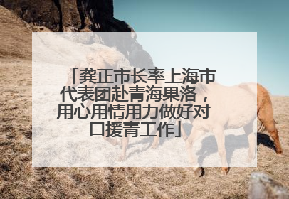 龚正市长率上海市代表团赴青海果洛，用心用情用力做好对口援青工作