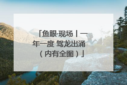 鱼眼·现场丨一年一度 驾龙出涌（内有全图）