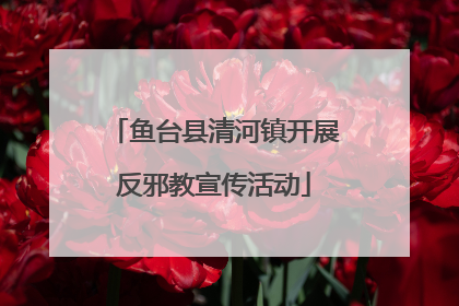 鱼台县清河镇开展反邪教宣传活动