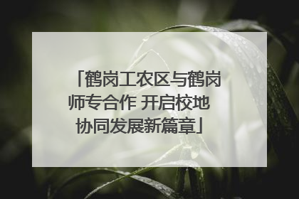 鹤岗工农区与鹤岗师专合作 开启校地协同发展新篇章