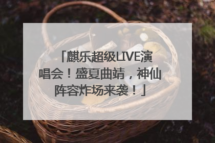 麒乐超级LIVE演唱会！盛夏曲靖，神仙阵容炸场来袭！