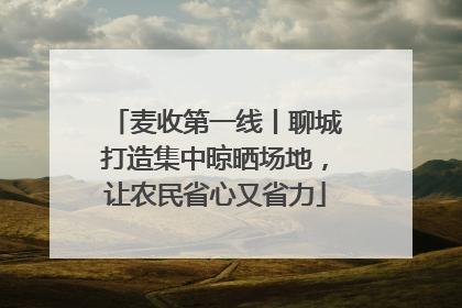 麦收第一线丨聊城打造集中晾晒场地，让农民省心又省力