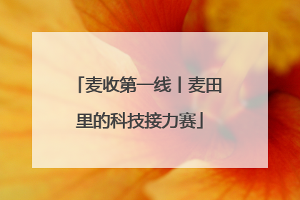 麦收第一线丨麦田里的科技接力赛
