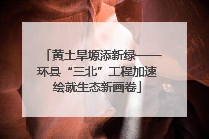 黄土旱塬添新绿——环县“三北”工程加速绘就生态新画卷