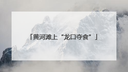 黄河滩上“龙口夺食”