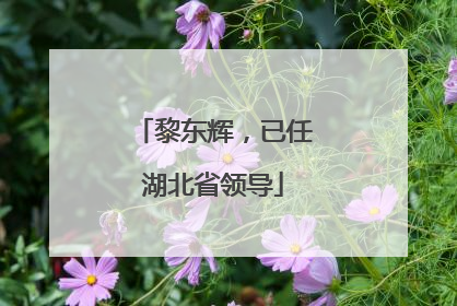 黎东辉，已任湖北省领导
