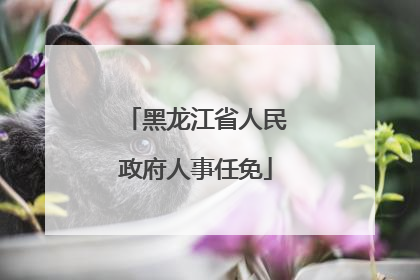 黑龙江省人民政府人事任免