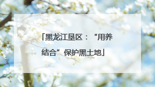 黑龙江垦区：“用养结合”保护黑土地