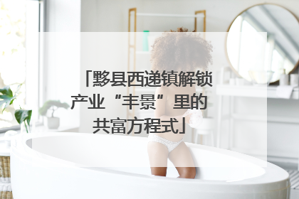 黟县西递镇解锁产业“丰景”里的共富方程式