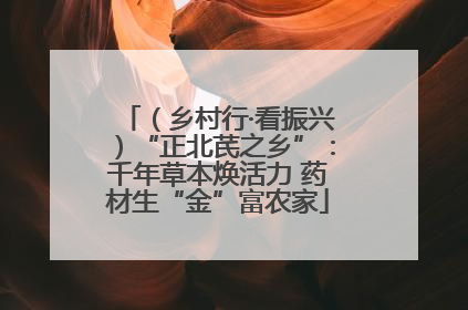 （乡村行·看振兴）“正北芪之乡”：千年草本焕活力 药材生“金”富农家