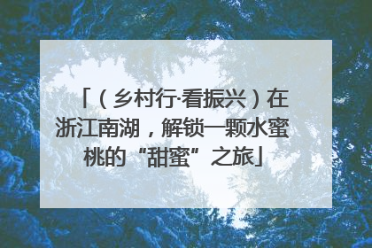 （乡村行·看振兴）在浙江南湖，解锁一颗水蜜桃的“甜蜜”之旅