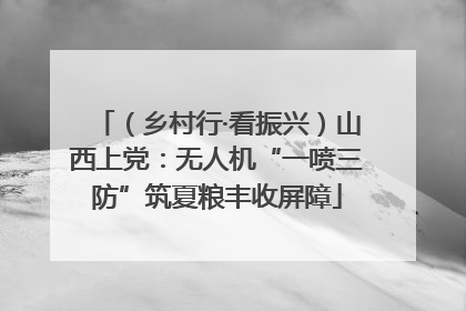 （乡村行·看振兴）山西上党：无人机“一喷三防”筑夏粮丰收屏障