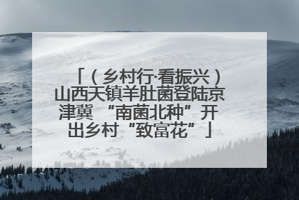 （乡村行·看振兴）山西天镇羊肚菌登陆京津冀 “南菌北种”开出乡村“致富花”
