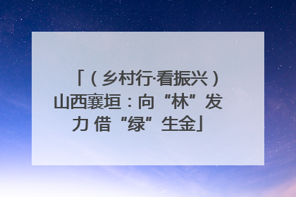 （乡村行·看振兴）山西襄垣：向“林”发力 借“绿”生金