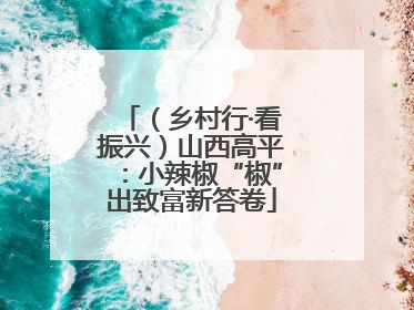 （乡村行·看振兴）山西高平：小辣椒“椒”出致富新答卷