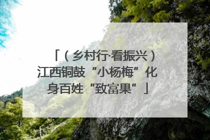 （乡村行·看振兴）江西铜鼓“小杨梅”化身百姓“致富果”