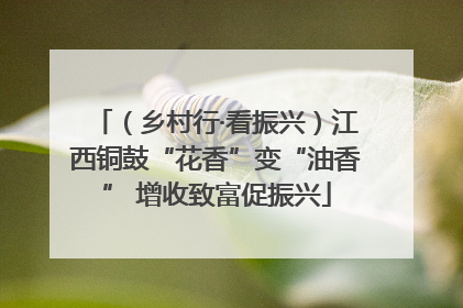 （乡村行·看振兴）江西铜鼓“花香”变“油香” 增收致富促振兴