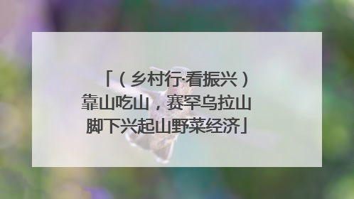 （乡村行·看振兴）靠山吃山，赛罕乌拉山脚下兴起山野菜经济