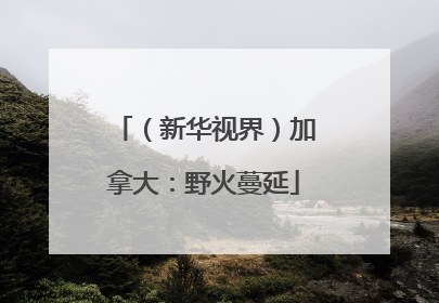 （新华视界）加拿大：野火蔓延