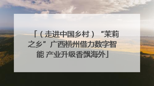 （走进中国乡村）“茉莉之乡”广西横州借力数字智能 产业升级香飘海外