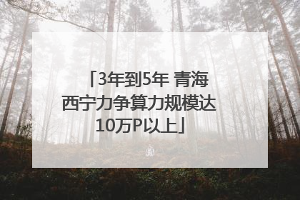 3年到5年 青海西宁力争算力规模达10万P以上