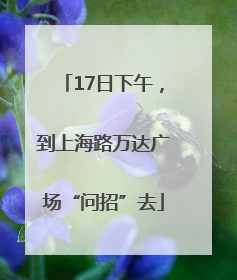 17日下午，到上海路万达广场“问招”去