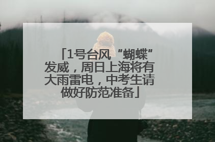 1号台风“蝴蝶”发威，周日上海将有大雨雷电，中考生请做好防范准备