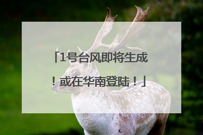 1号台风即将生成！或在华南登陆！