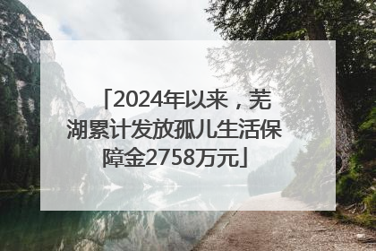 2024年以来，芜湖累计发放孤儿生活保障金2758万元