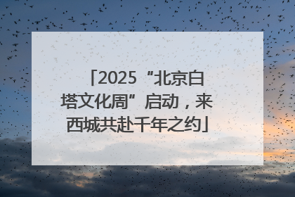 2025“北京白塔文化周”启动，来西城共赴千年之约
