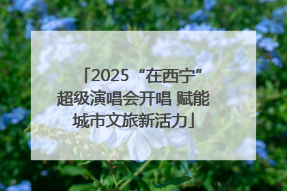 2025“在西宁”超级演唱会开唱 赋能城市文旅新活力