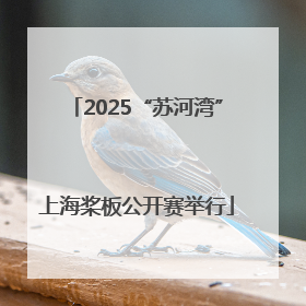 2025“苏河湾”上海桨板公开赛举行