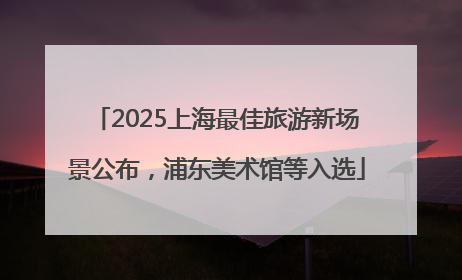 2025上海最佳旅游新场景公布，浦东美术馆等入选