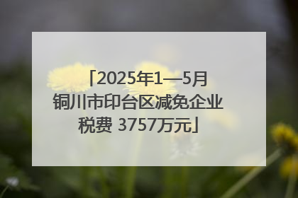 2025年1—5月铜川市印台区减免企业税费 3757万元