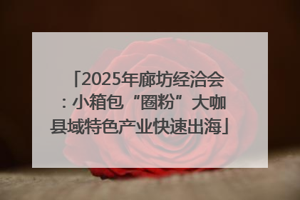 2025年廊坊经洽会：小箱包“圈粉”大咖 县域特色产业快速出海