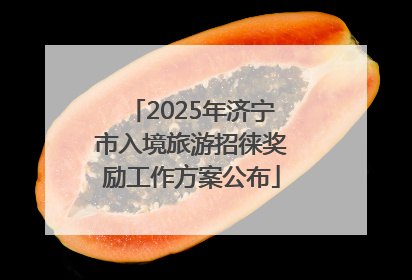 2025年济宁市入境旅游招徕奖励工作方案公布