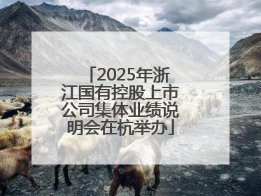 2025年浙江国有控股上市公司集体业绩说明会在杭举办