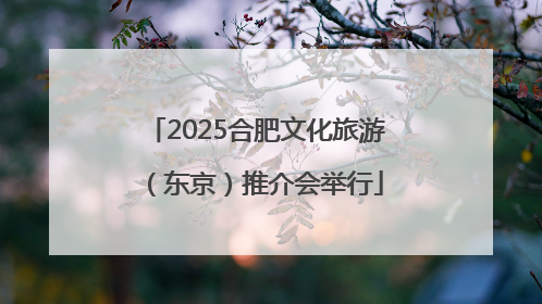2025合肥文化旅游（东京）推介会举行